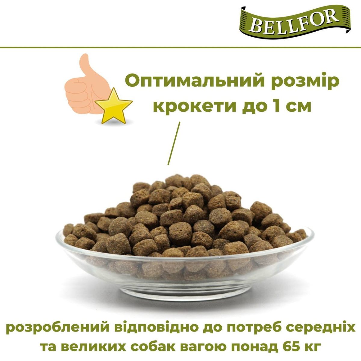 Беззерновой сухой корм холистик на основе белка насекомых с чечевицей и тапиокой для взрослых собак Bellfor Insect Naturfarm-Schmaus