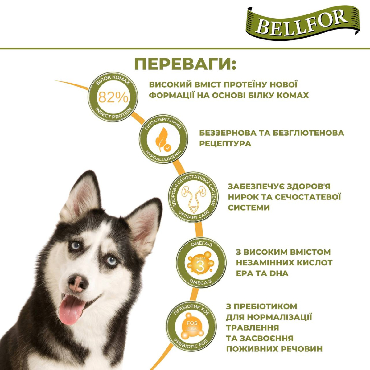 Беззерновий сухий корм холістик на основі білка комах для дорослих собак Веllfor Insect Landgut Schmaus Hypoallergenic Беззерновий сухий корм холістик на основі білка комах для дорослих собак Веllfor Insect Landgut Schmaus Hypoallergenic