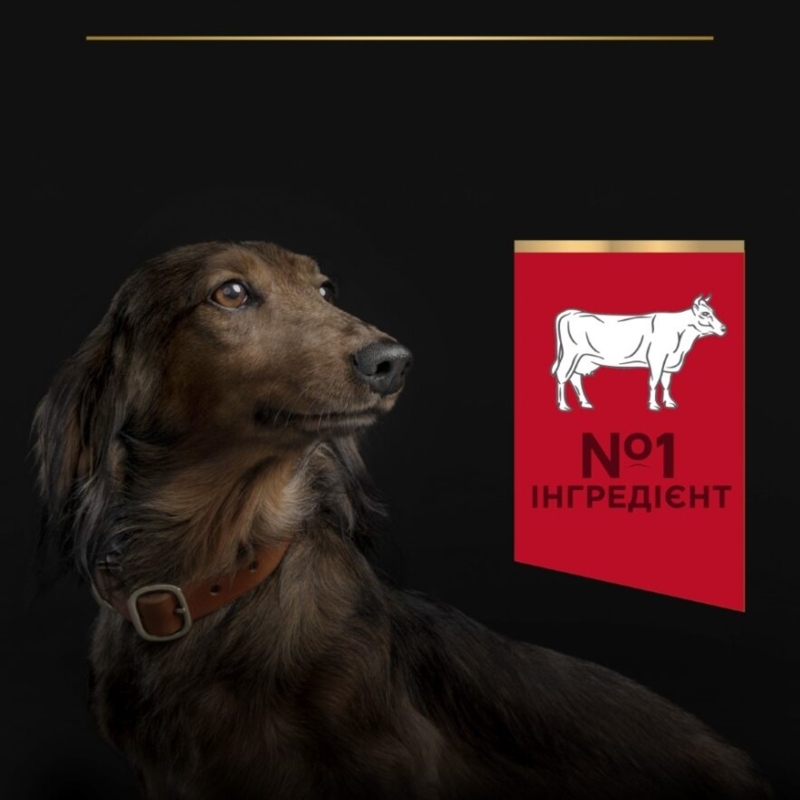 Сухой корм с говядиной и рисом для взрослых собак маленьких пород Purina Pro Plan Small & Mini Duo Delice Adult 1+ Beef & Rice Сухой корм с говядиной и рисом для взрослых собак маленьких пород Purina Pro Plan Small & Mini Duo Delice Adult 1+ Beef & Rice