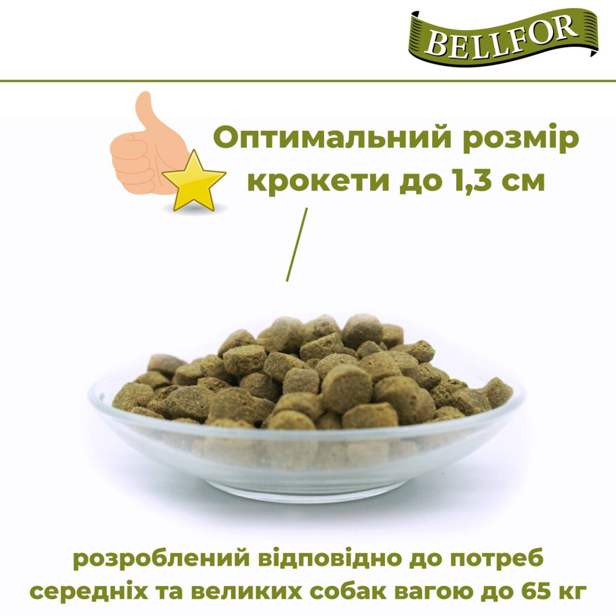 Беззерновой монопротеиновый сухой корм холистик с курицей для взрослых собак Bellfor Freiland Schmaus