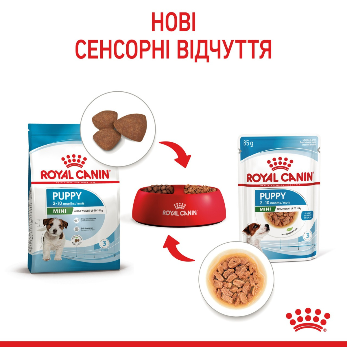 Влажный корм для щенков маленьких пород в возрасте от 2 до 10 месяцев Royal Canin Mini Puppy