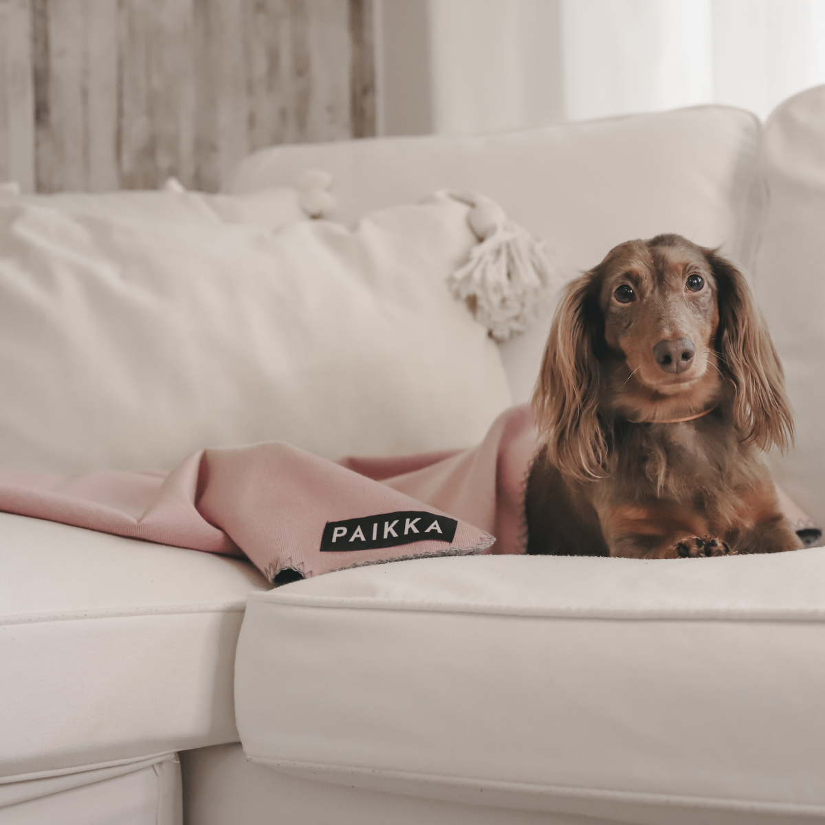 Восстанавливающее розовое FIR-одеяло с дорожной сумкой для собак PAIKKA Recovery Blanket Pink Восстанавливающее розовое FIR-одеяло с дорожной сумкой для собак PAIKKA Recovery Blanket Pink