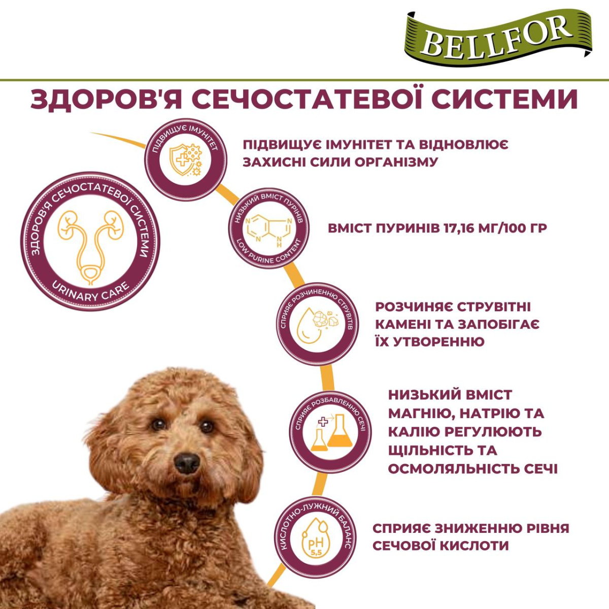 Беззерновой сухой корм холистик с белком насекомых для собак маленьких пород Bellfor Insect Landgut Schmaus Hypoallergenic Mini