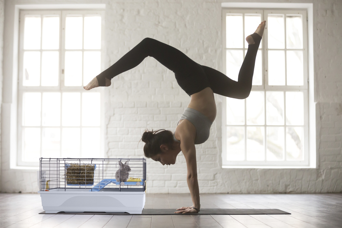 Двоповерхова клітина для кролика с мискою, годівницею та напувалкою Imac Ronny 80