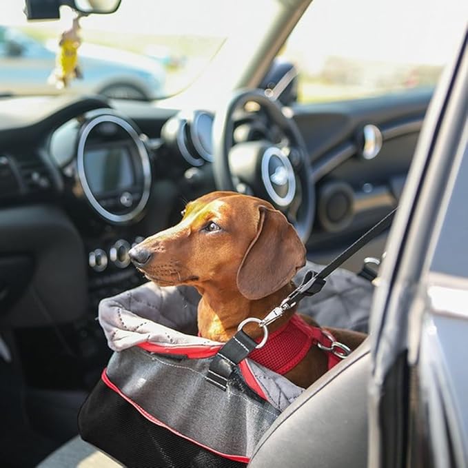 Повышенное автокресло для щенков и маленьких собак KONG Travel Seat Dog
