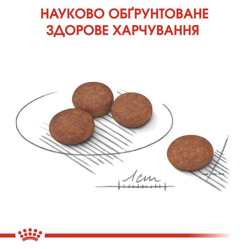 Сухий корм для собак маленьких порід із чутливим травленням Royal Canin Mini Digestive Care Adult