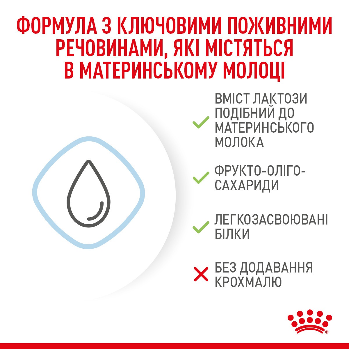 Замінник собачого молока для цуценят віком від 0 до 2 місяців від народження до відлучення Royal Canin Babydog Milk 1st Age Milk