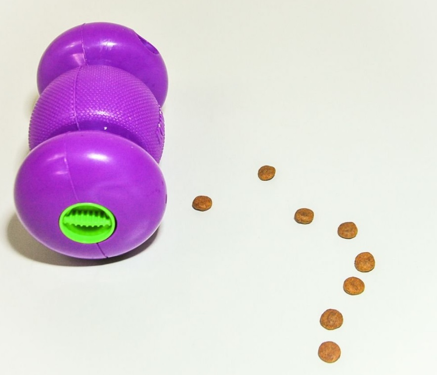 Игрушка для собак Гантель-Бумеранг для лакомств KONG Replay Dog Toy