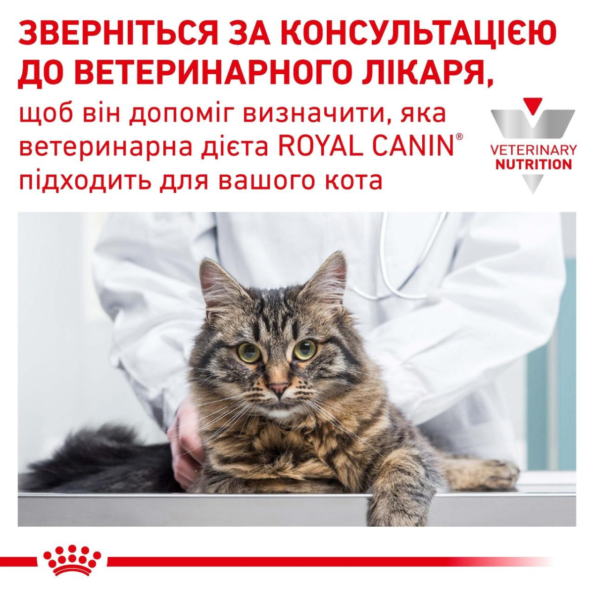 Вологий лікувальний низькокалорійний корм для дорослих котів із сечокам'яною хворобою Royal Canin Veterinary Urinary S/O Moderate Calorie
