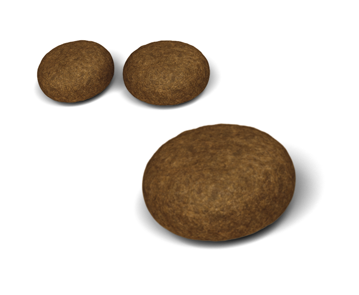 Сухой корм для предотвращения образования волосяных комочков в желудке кошек Royal Canin Hairball Care