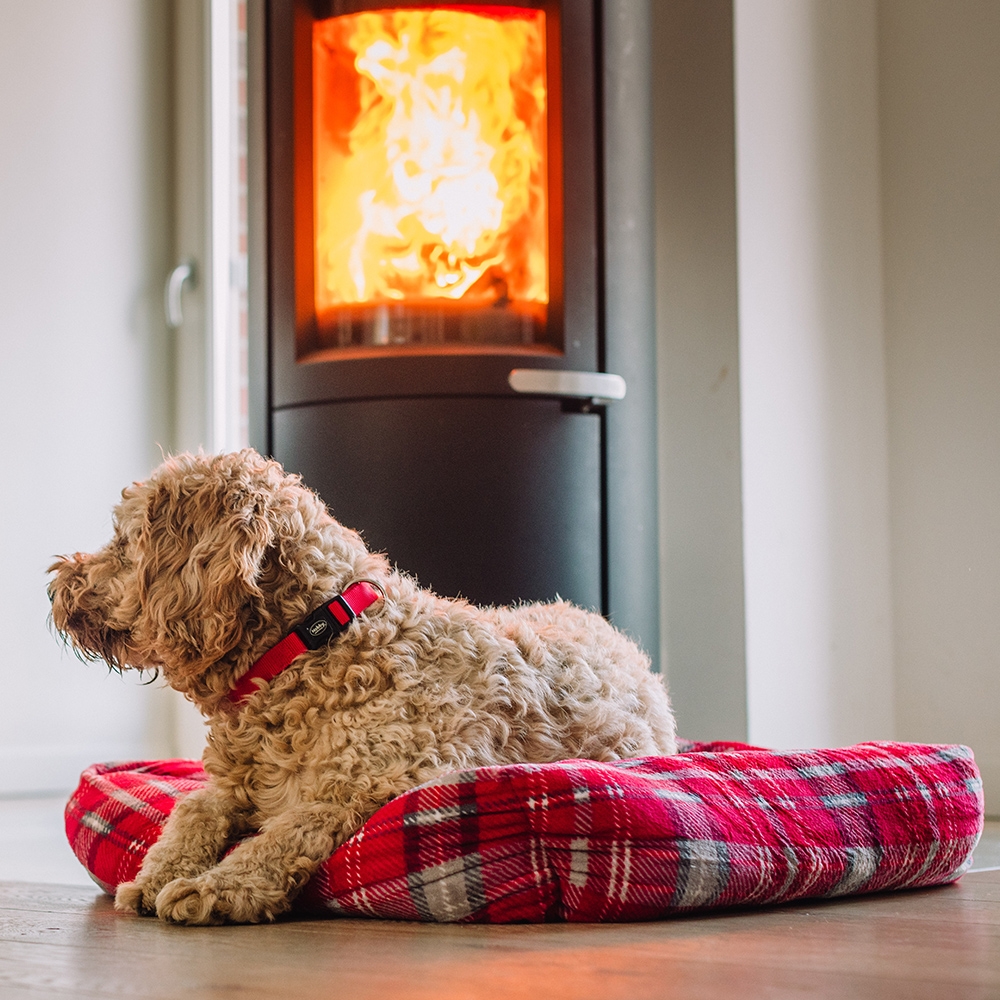 Антиковзка плюшева новорічна лежанка для собак Kareli Xmas Nobby