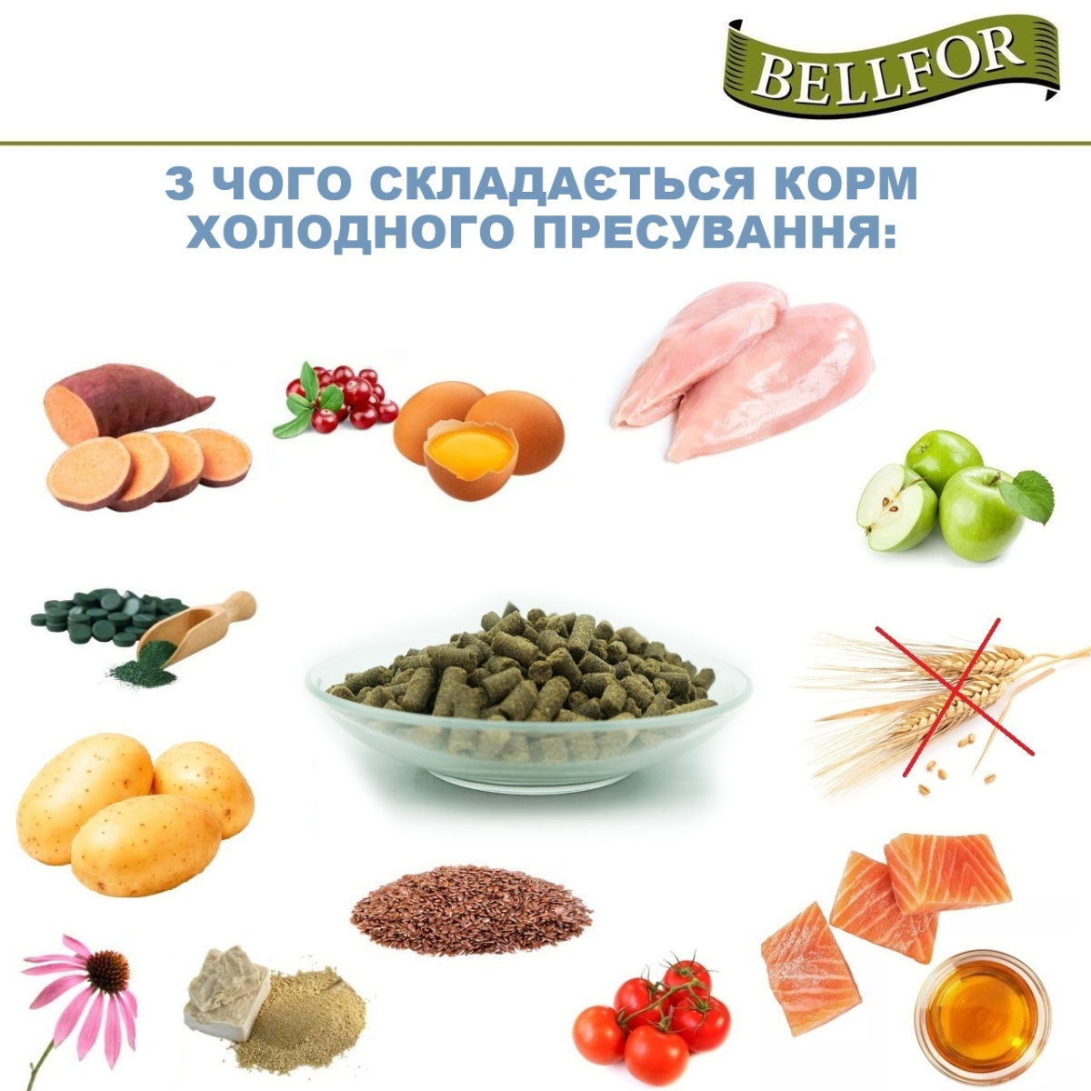 Беззерновой сухой корм для щенков холистик холодного прессования с курицей Bellfor Wiesen-Schmaus Junior