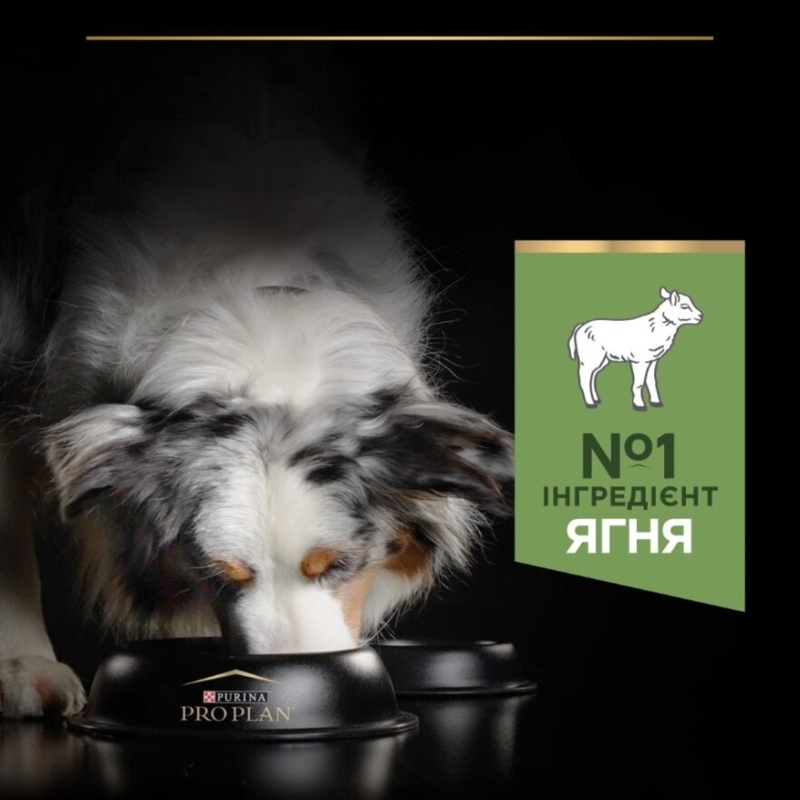 Сухий корм з ягням для середніх собак з чутливим травленням Purina Pro Plan Medium Sensitive Digestion Adult 1+ Lamb