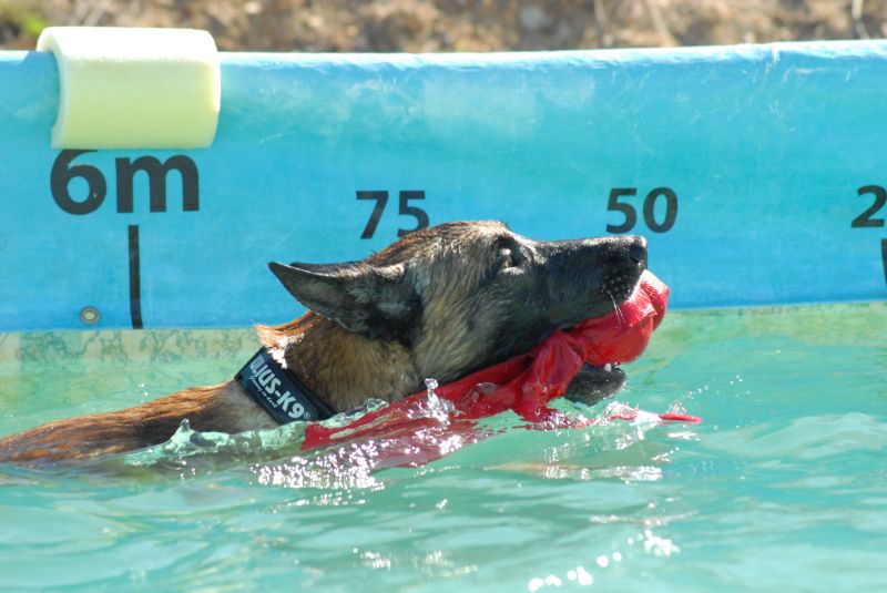 Игрушка для собак Плавающая Вубба KONG Wubba Wet