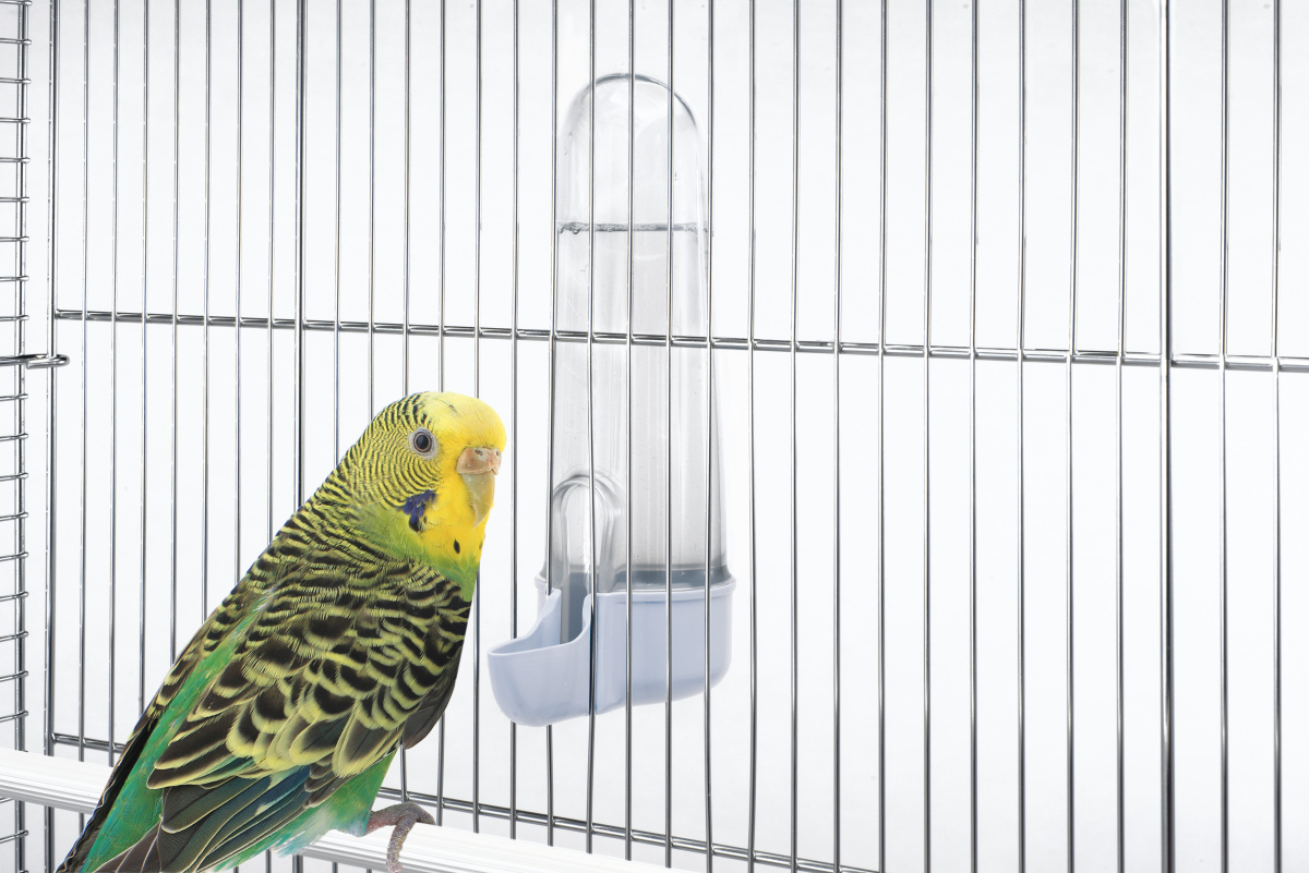 Диспенсер для воды пластиковый для попугаев Imac Tweety 200