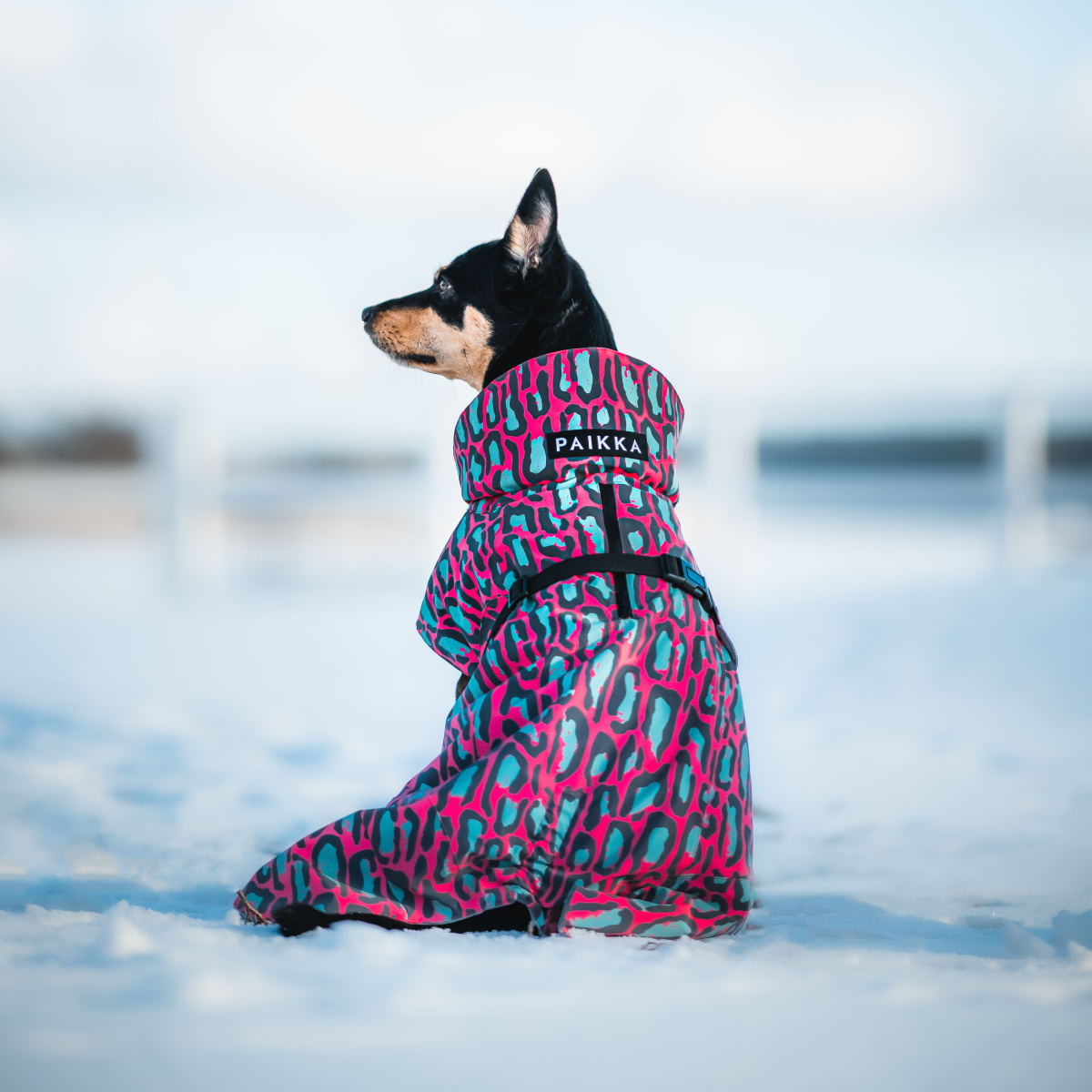 Зимняя куртка со специальной FIR-подкладкой для собак PAIKKA Visibility Winter Jacket Jungle Зимняя куртка со специальной FIR-подкладкой для собак PAIKKA Visibility Winter Jacket Jungle