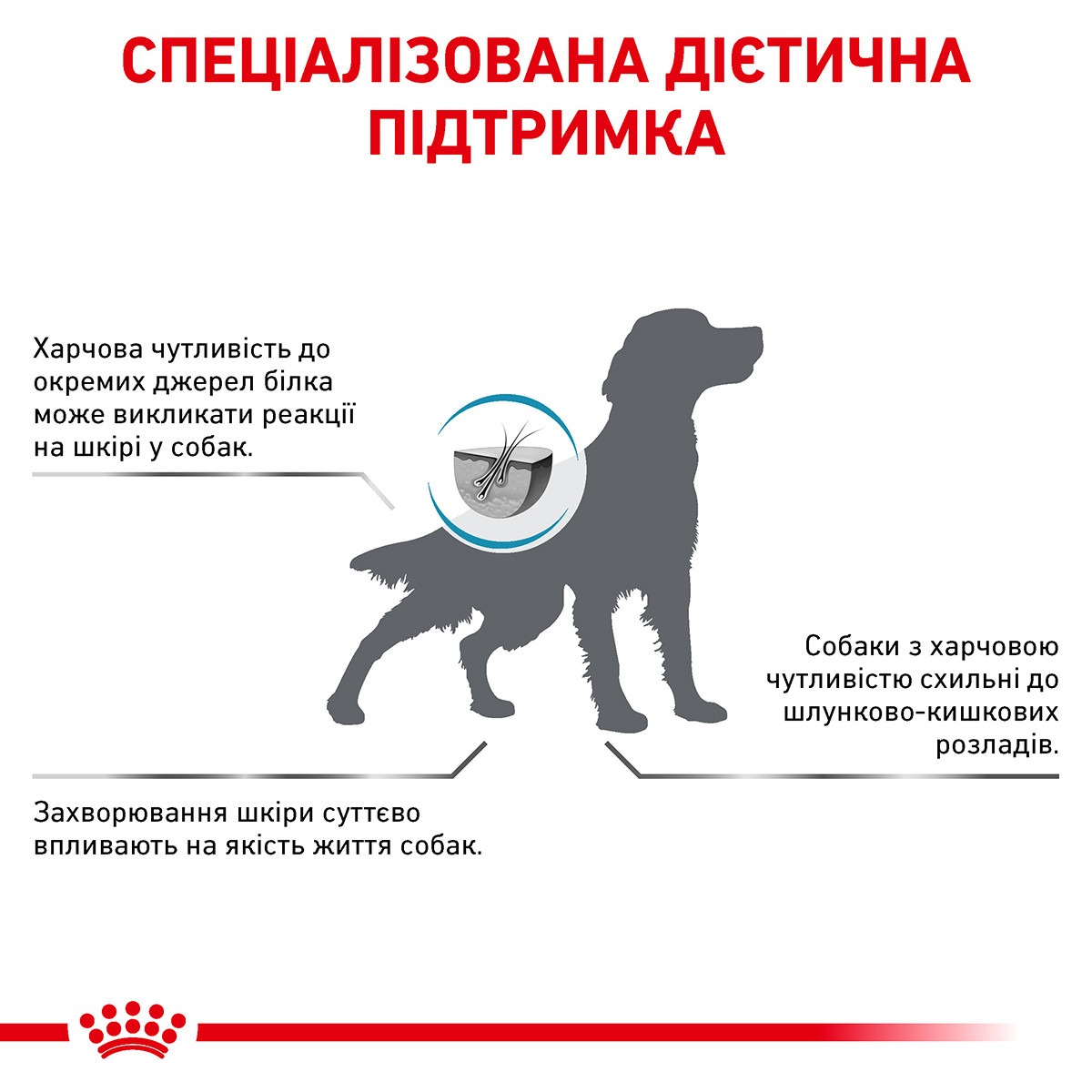 Сухой лечебный корм для собак при пищевой аллергии Royal Canin Veterinary Anallergenic