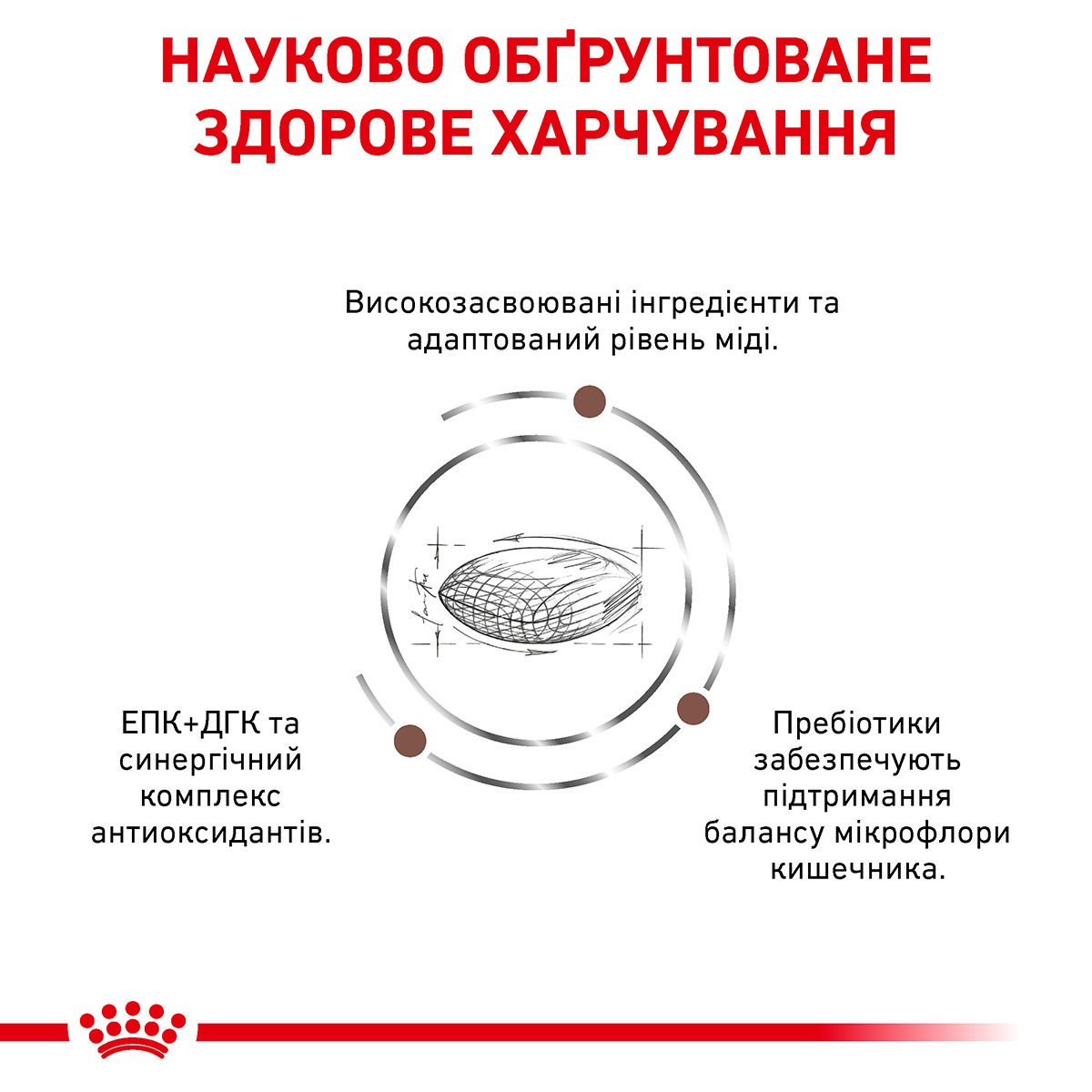 Сухий лікувальний корм для собак при захворюваннях печінки Royal Canin Veterinary Hepatic