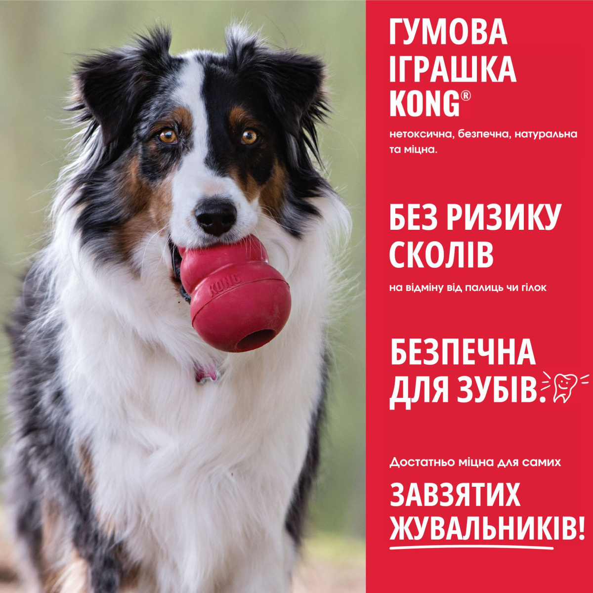KONG Biscuit Ball Іграшка для ласощів собак М'яч