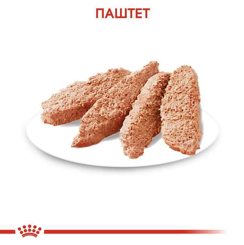 Влажный успокаивающий корм для взрослых собак при действии стрессовых факторов Royal Canin Relax Care