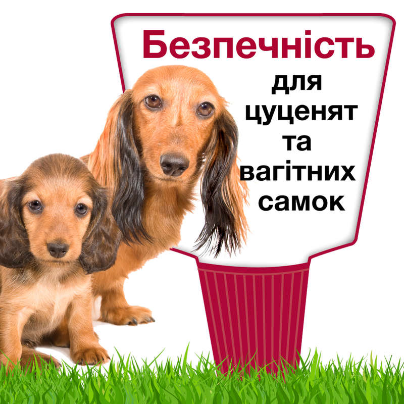 Антипаразитарні краплі для собак вагою 25-40 кг від бліх, кліщів, волосоїдів та вошей Адвантікс Elanco Advantix Dogs
