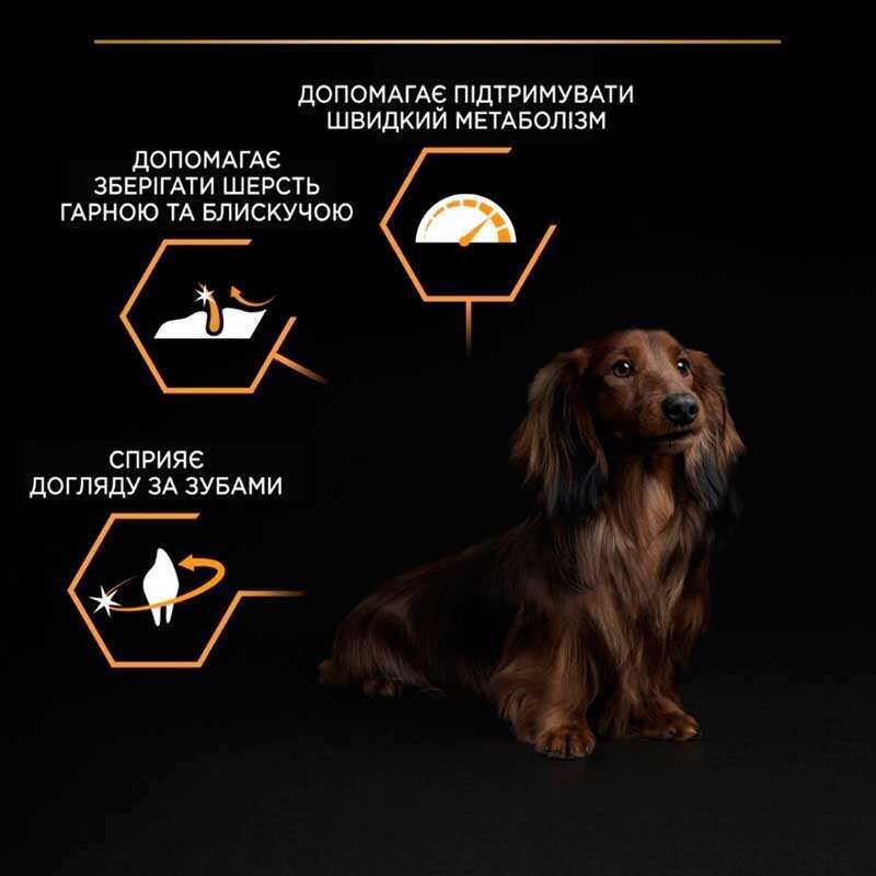 Сухий корм з куркою для дорослих собак маленьких порід Purina Pro Plan Small & Mini Everyday Nutrion Adult 1+ Chicken Сухий корм з куркою для дорослих собак маленьких порід Purina Pro Plan Small & Mini Everyday Nutrion Adult 1+ Chicken