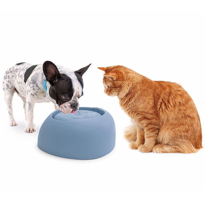 Автоматичний питний фонтан для собак та котів Imac Pet Fountain