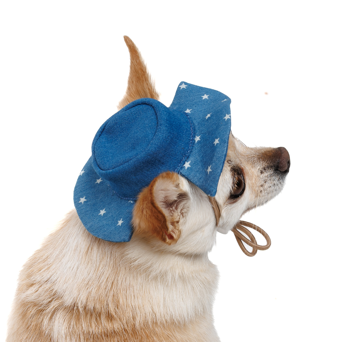 Панама для собак Зірки Pet Fashion Dog Sun Hat Stars