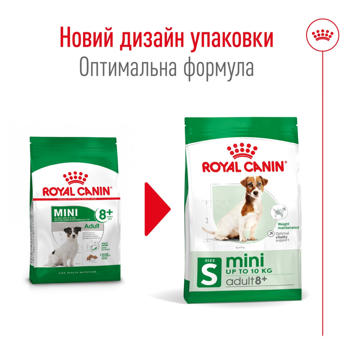 Сухой корм для пожилых собак маленьких пород в возрасте от 8 лет Royal Canin Mini Adult 8+