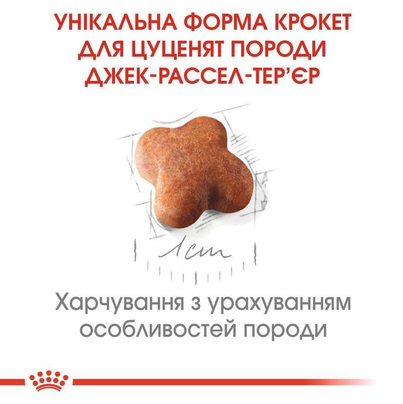 Сухой корм для щенков породы Джек Рассел Терьер в возрасте до 10 месяцев Royal Canin Jack Russel Terrier Puppy 