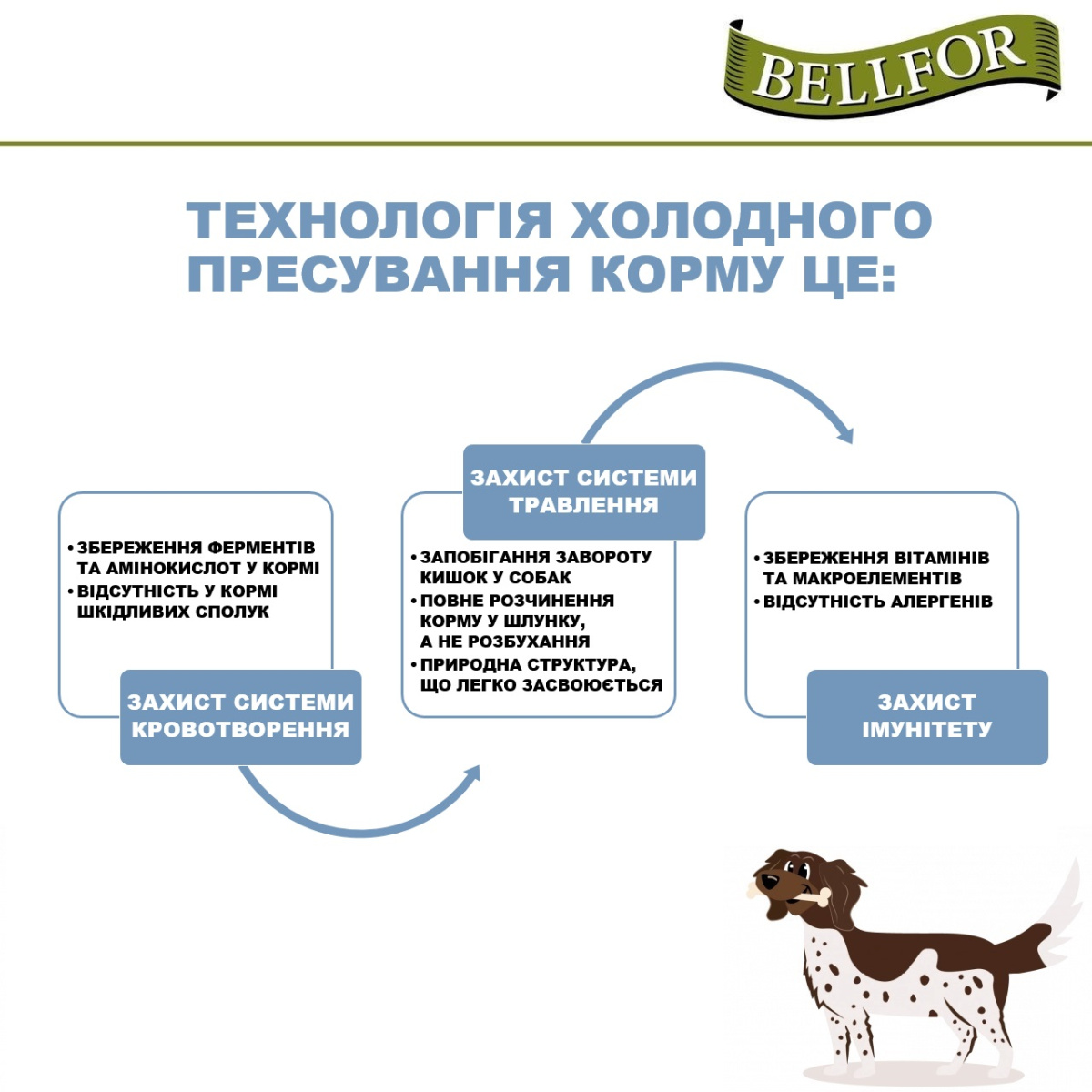 Беззерновой сухой корм для щенков холистик холодного прессования с курицей Bellfor Wiesen-Schmaus Junior