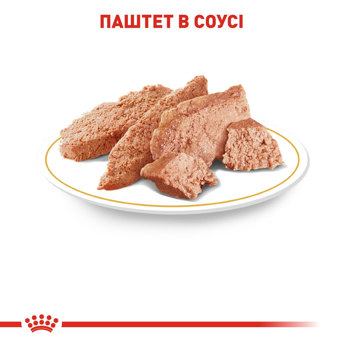 Влажный корм для собак породы Чихуахуа в возрасте от 8 месяцев Royal Canin Chihuahua Adult