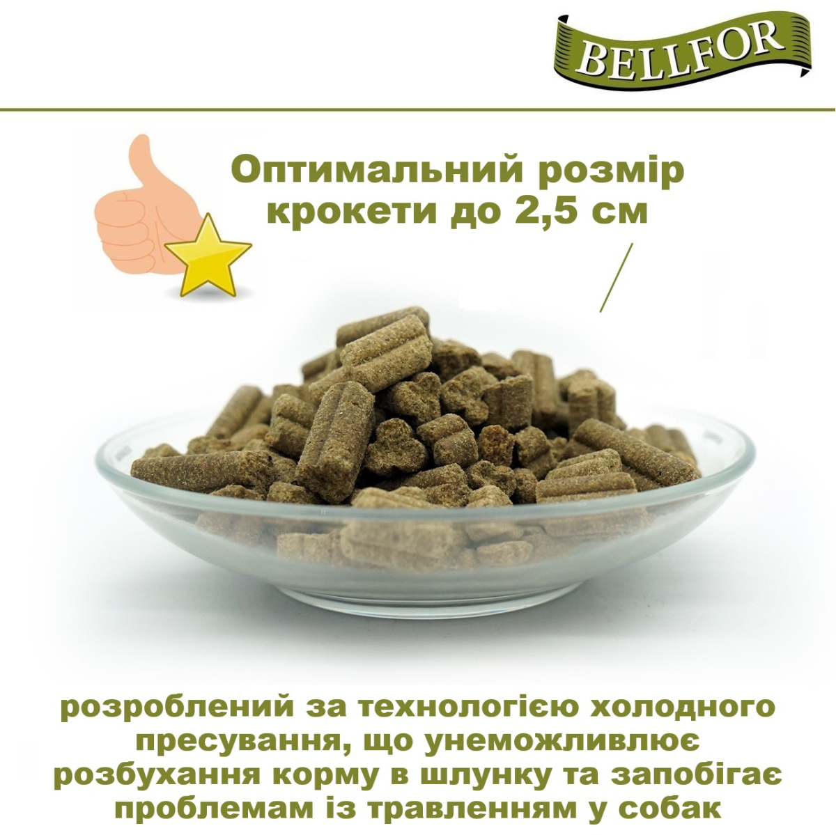 Беззерновой сухой корм для собак холистик холодного прессования с лососем и форелью Bellfor Forstbach-Schmaus