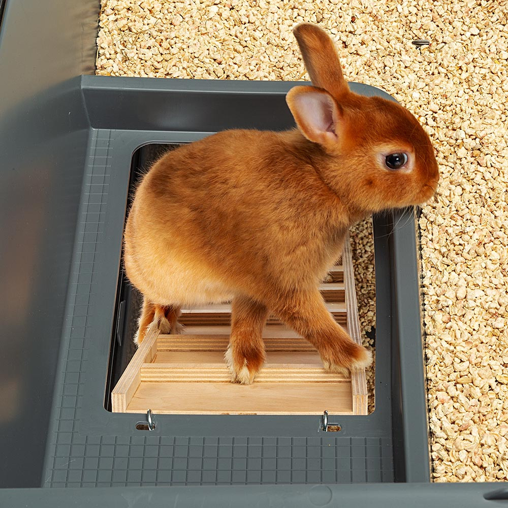 Двухуровневый вольер для двух кроликов с поилками и кормушками Rabbit 100 Double Ferplast