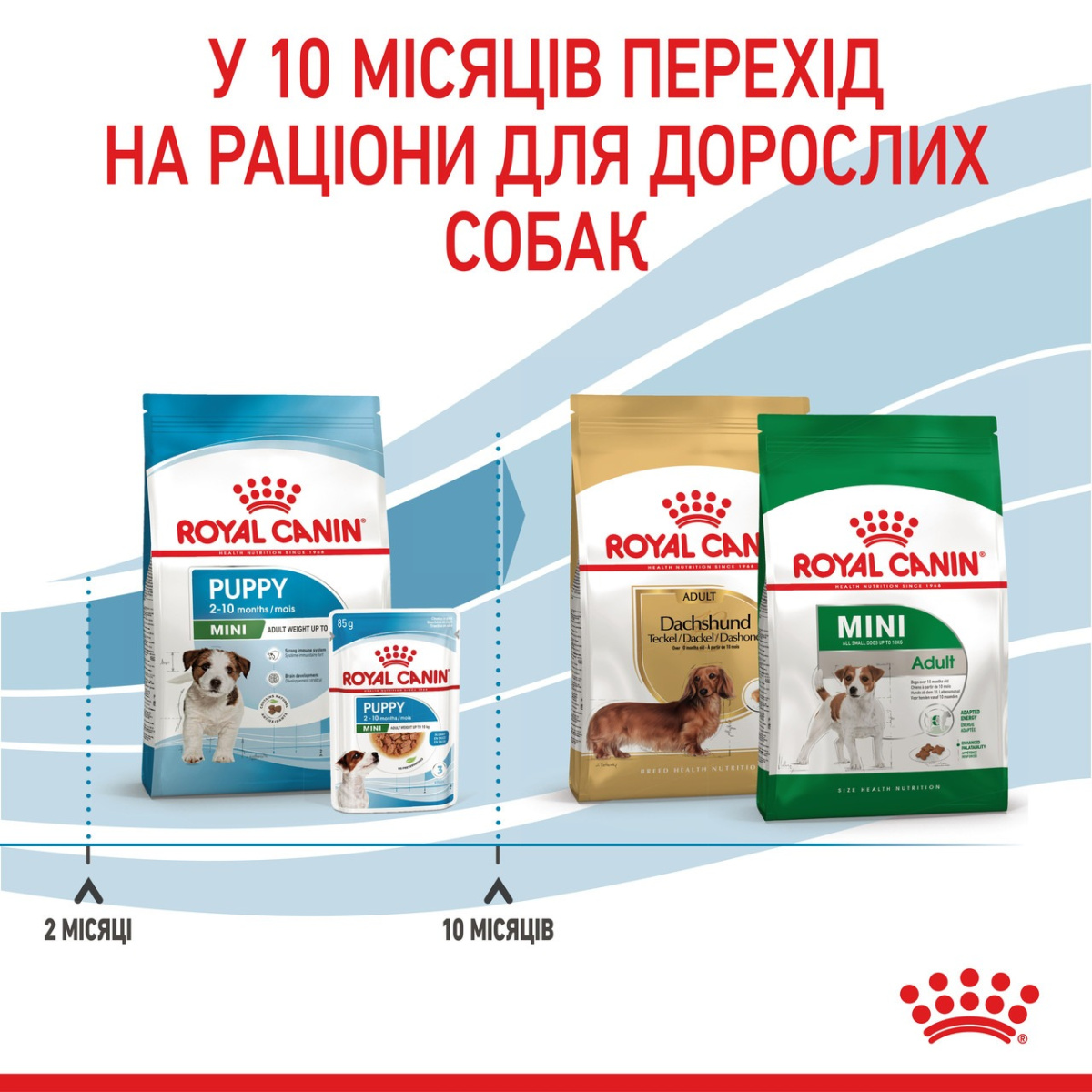 Сухой корм для щенков маленьких пород в возрасте от 2 до 10 месяцев Royal Canin Mini Puppy