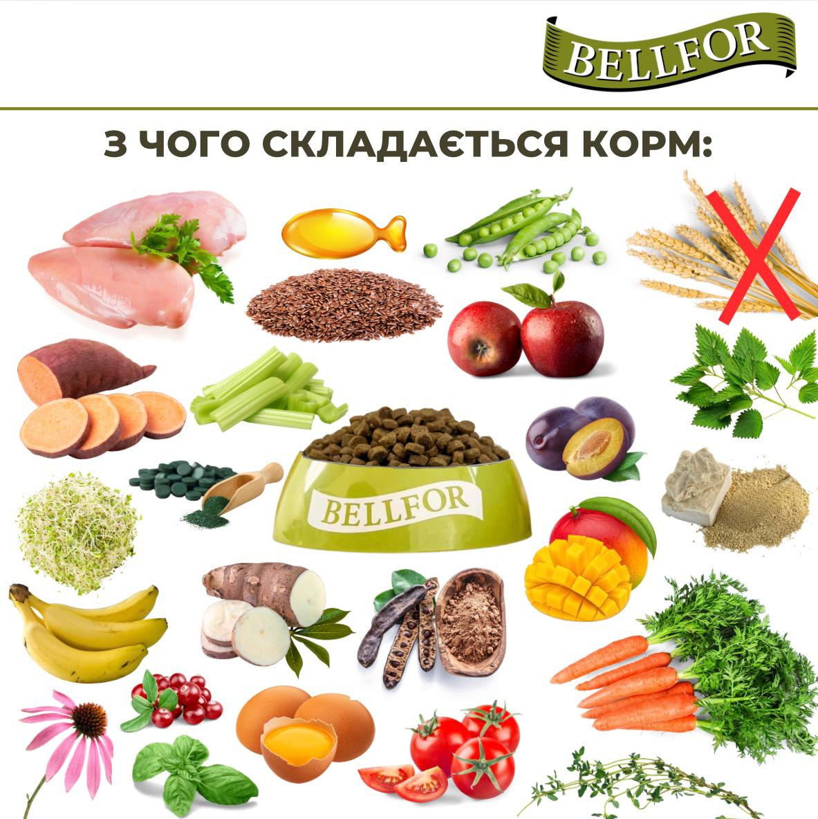 Беззерновой монопротеиновый сухой корм холистик с курицей для взрослых собак Bellfor Freiland Schmaus