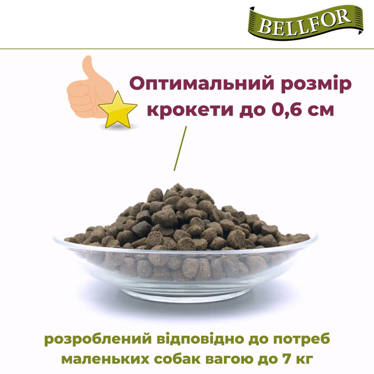 Беззерновой сухой корм холистик с белком насекомых для собак маленьких пород Bellfor Insect Landgut Schmaus Hypoallergenic Mini