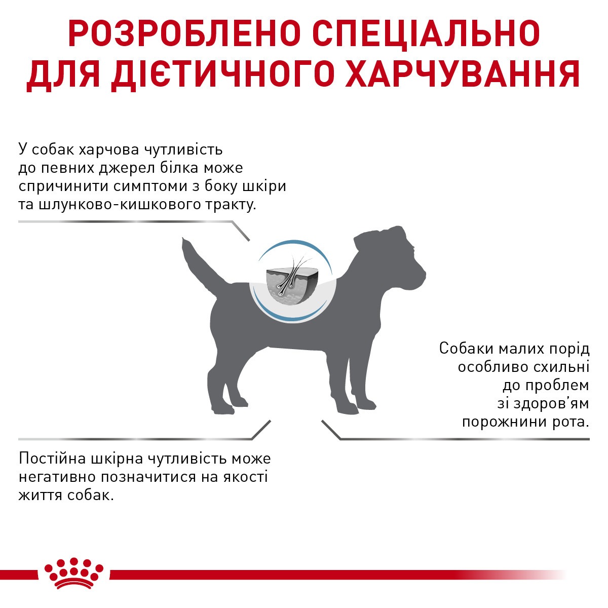 Сухий лікувальний корм для собак маленьких порід при харчовій алергії Royal Canin Veterinary Anallergenic Small Dogs