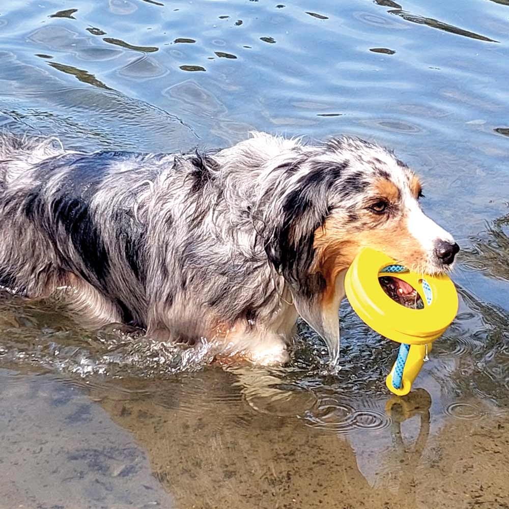 Плаваюча іграшка для великих собак Жувальне Кільце Ring Floating Nobby