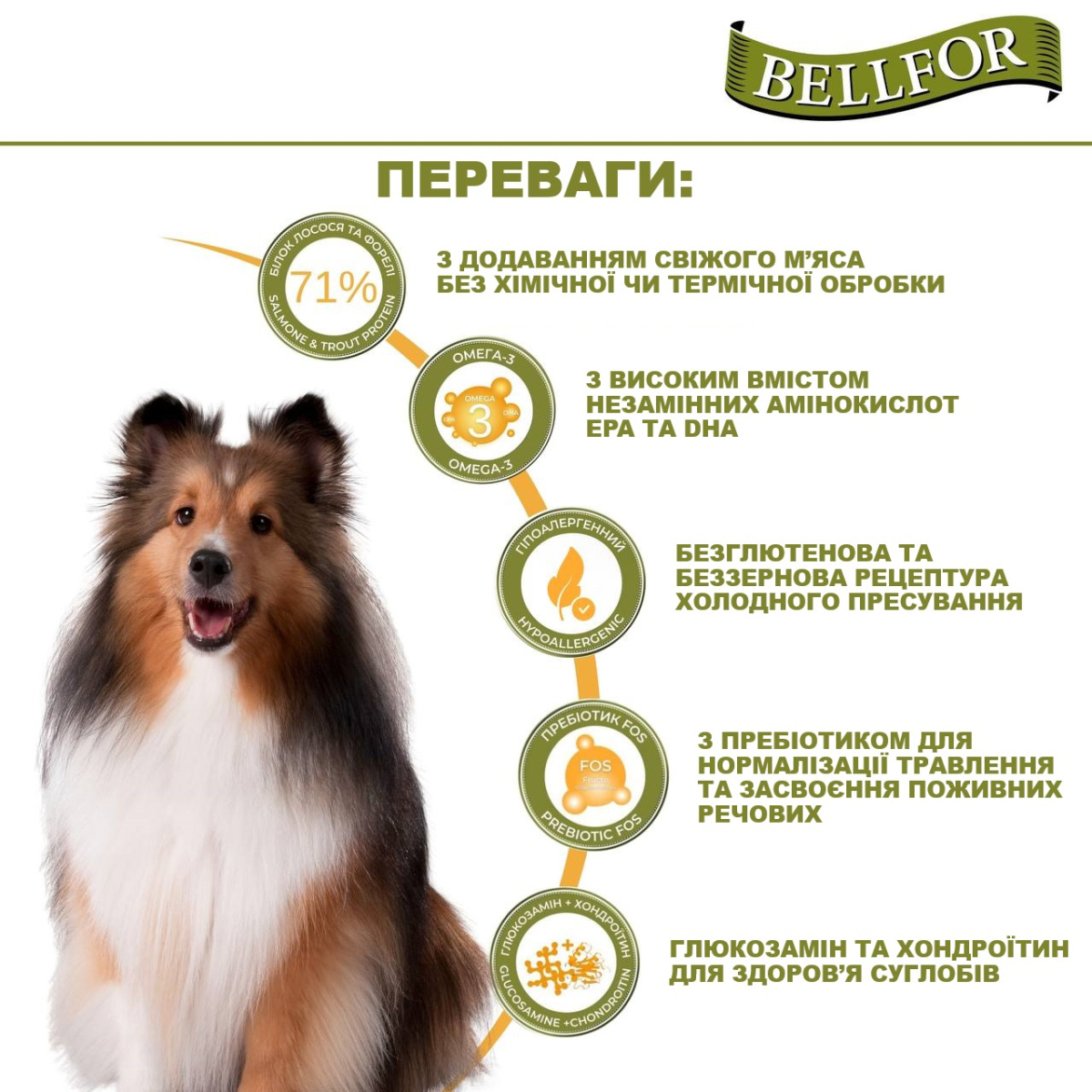 Беззерновой сухой корм для собак холистик холодного прессования с лососем и форелью Bellfor Forstbach-Schmaus