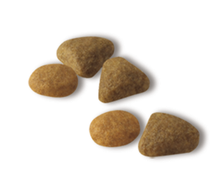 Сухий корм для кішок вибагливих до смаку корму Royal Canin Exigent Savour Feline Preference