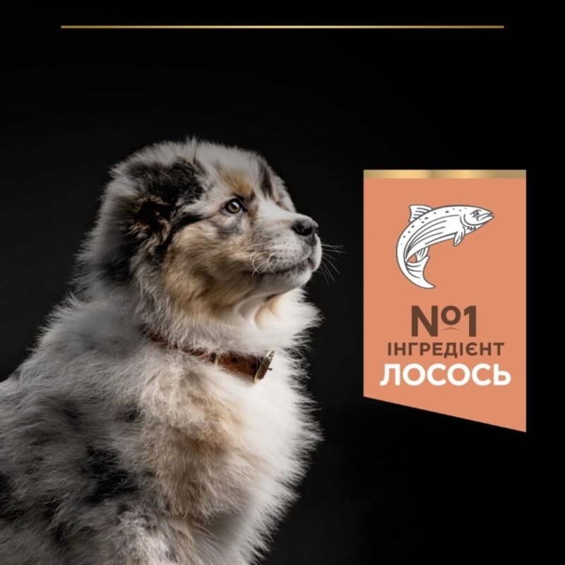 Сухой корм с лососем для щенков средних пород с чувствительной кожей Purina Pro Plan Medium Sensitive Skin Puppy Salmon Сухой корм с лососем для щенков средних пород с чувствительной кожей Purina Pro Plan Medium Sensitive Skin Puppy Salmon