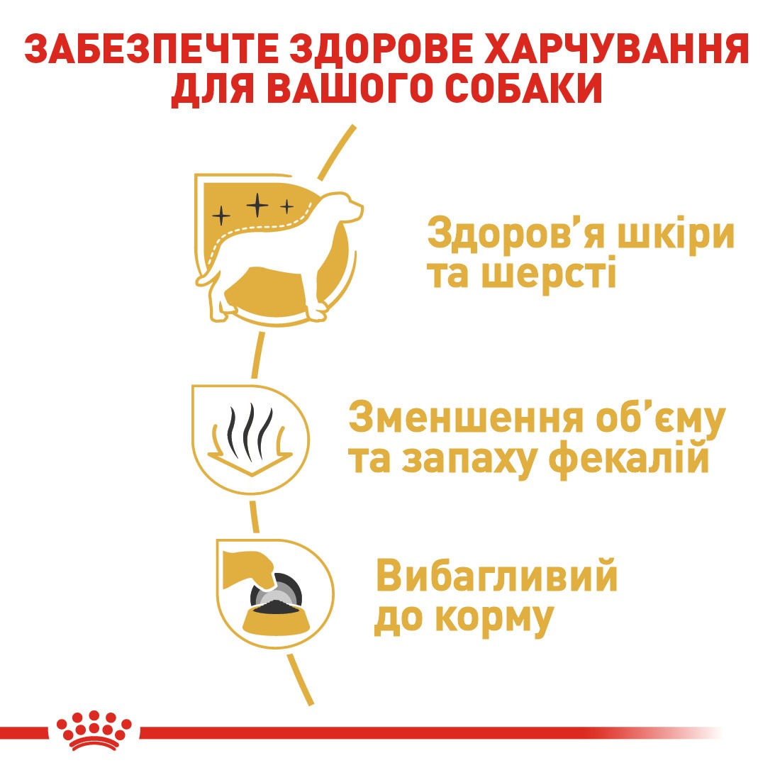 Сухой корм для собак породы Мальтийская Болонка после 10 месяцев Royal Canin Maltese Adult 