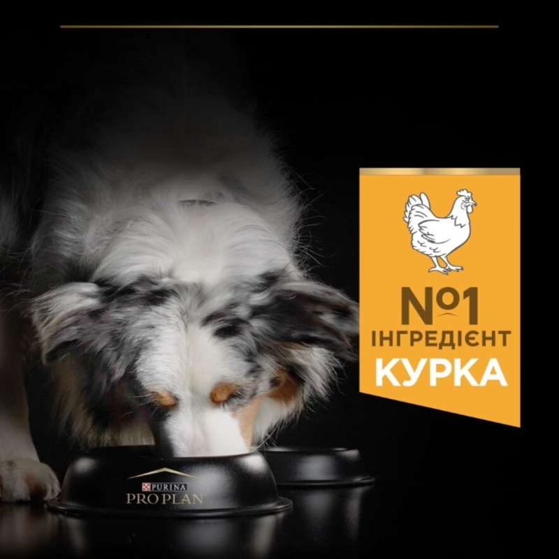 Сухой корм с курицей для взрослых собак средних пород Purina Pro Plan Medium Everyday Nutrion Adult 1+ Chicken