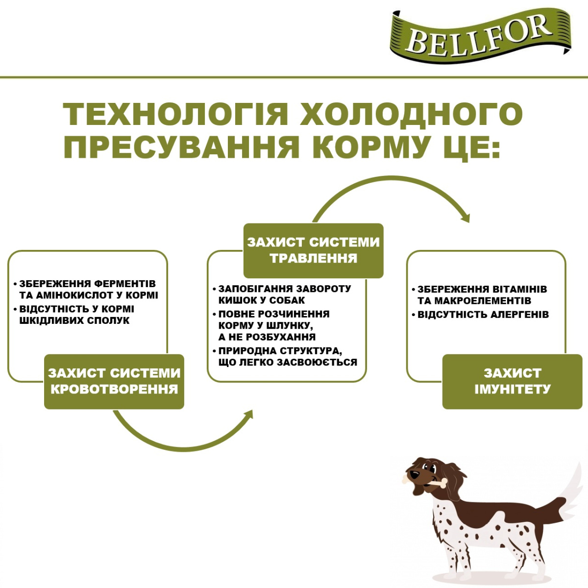 Беззерновой сухой корм для собак холистик холодного прессования с курицей Bellfor Wiesen-Schmaus