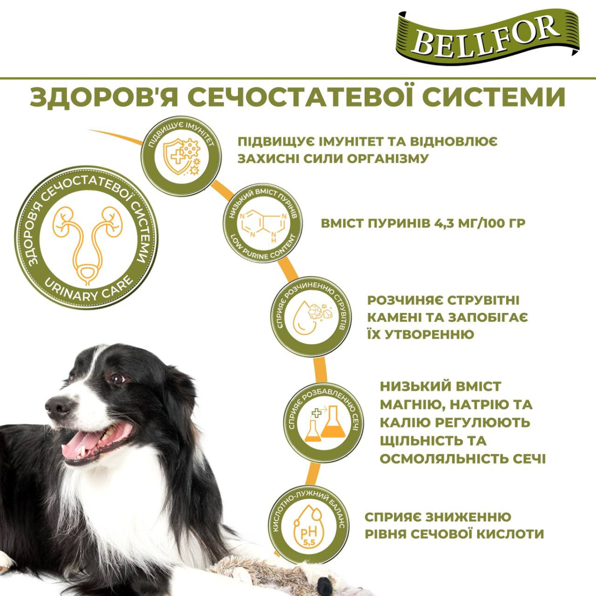 Гіпоалергенна беззернова консерва для собак на основі білка комах Bellfor Landgut-Menu Insect Гіпоалергенна беззернова консерва для собак на основі білка комах Bellfor Landgut-Menu Insect