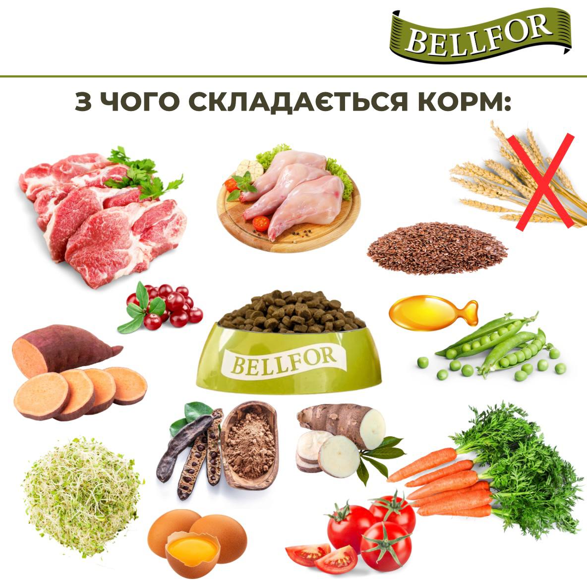 Беззерновий сухий гіпоалергенний корм холістик з м'ясом ягня та дикого кролика для дорослих собак маленьких порід Bellfor Heide Schmaus Mini Беззерновий сухий гіпоалергенний корм холістик з м'ясом ягня та дикого кролика для дорослих собак маленьких порід Bellfor Heide Schmaus Mini