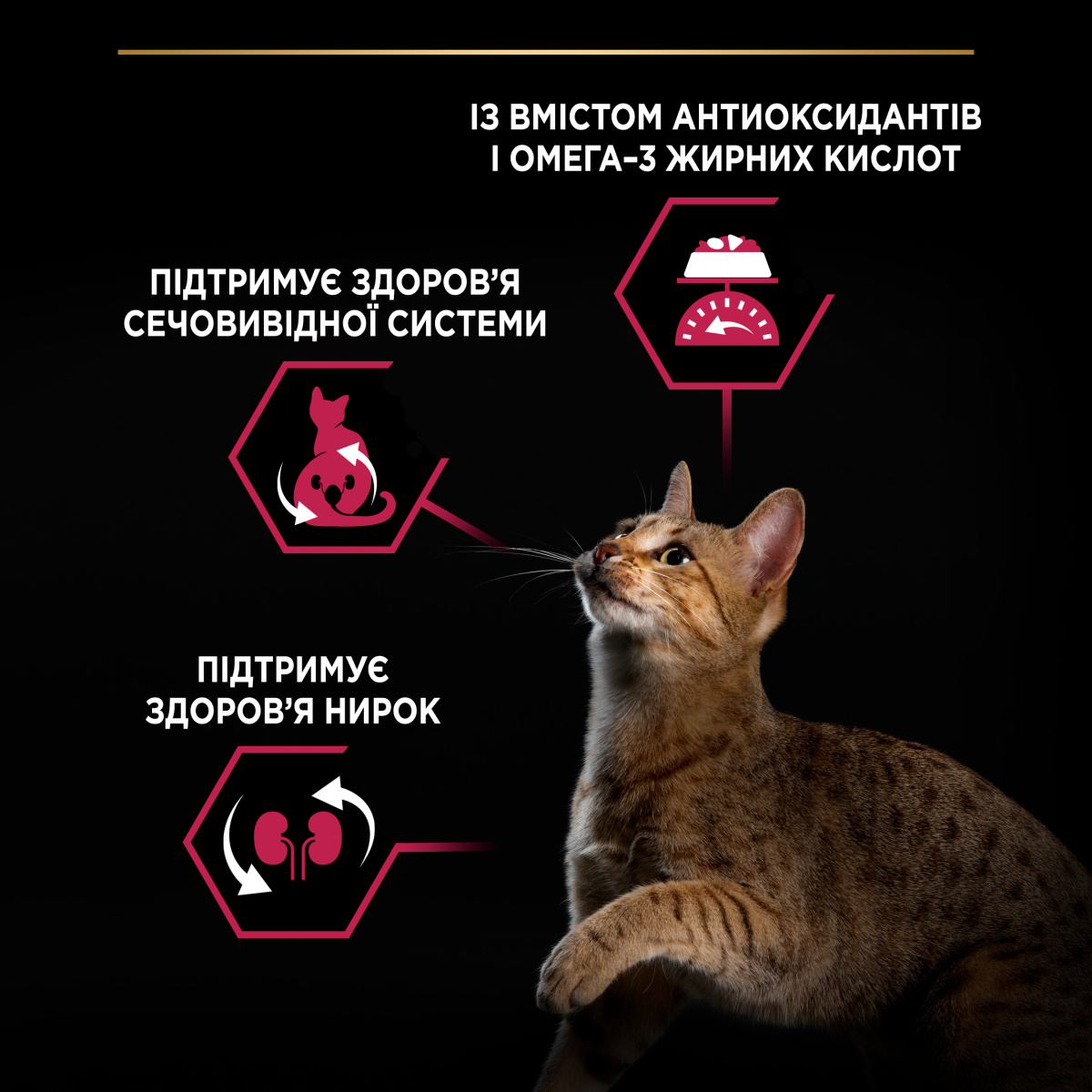 Сухой корм с уткой и печенью для взрослых стерилизованных кошек Purina Pro Plan Sterilised Adult 1+ Savoury Duo Duck & Liver