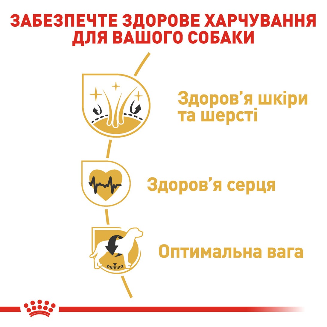 Сухой корм для собак породы Золотистый Ретривер в возрасте от 15 месяцев Royal Canin Golden Retriever Adult