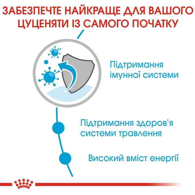 Вологий корм у соусі для цуценят середніх порід віком від 2 до 12 місяців Royal Canin Medium Puppy